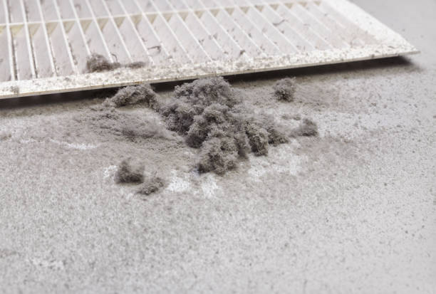 Best Affordable HVAC Duct Cleaning  in Kapaa, HI