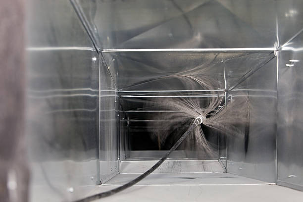 Air Duct Mold Removal in Kapaa, HI